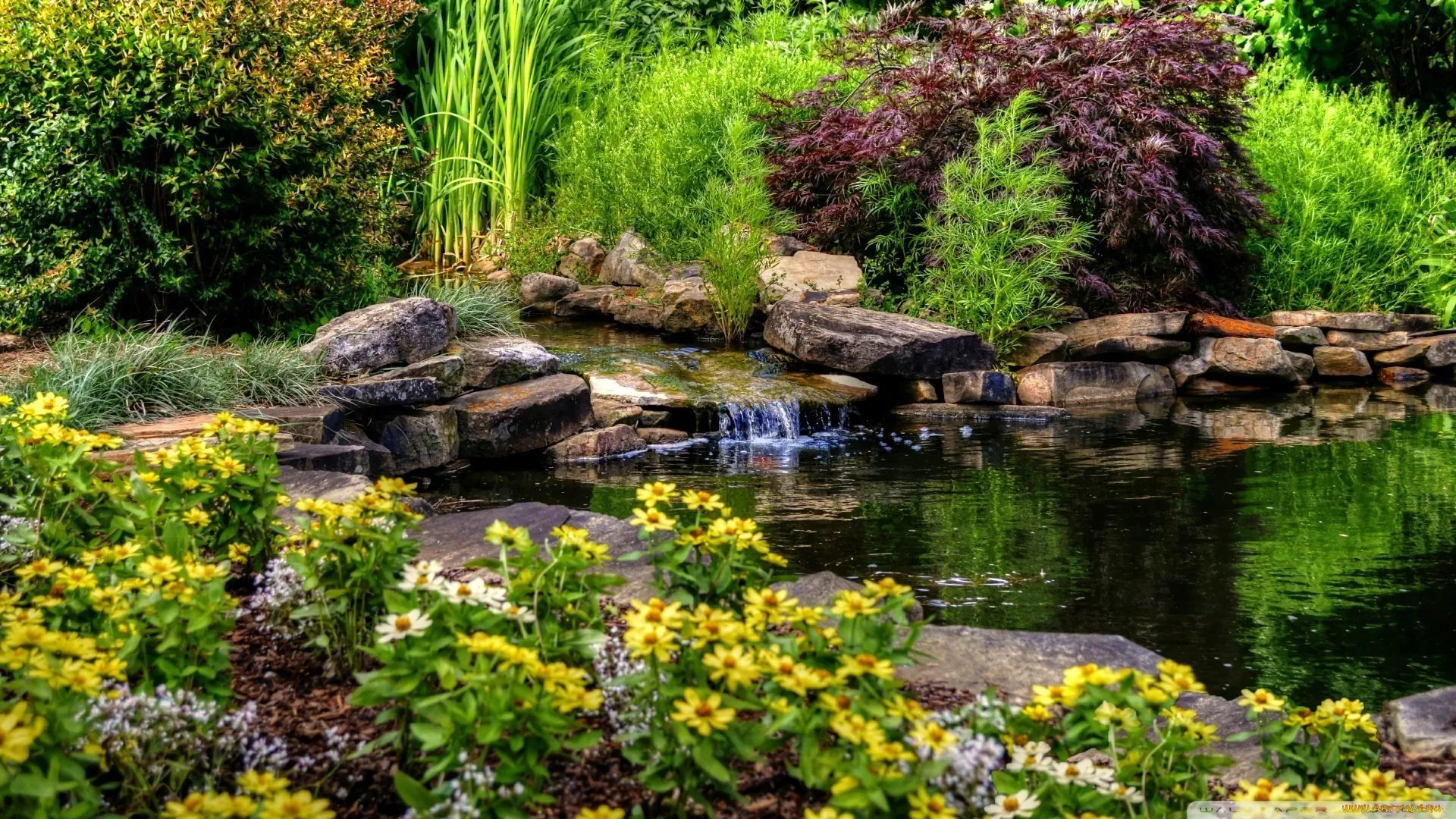 На горизонтальном водоемы. Японский сад в Киото. Ручей. Красивый пруд. Пруд в саду. Красивый сад с прудом.