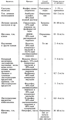 Саженцы ивы (вербы) купить с бережной доставкой по России