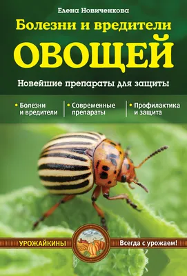 Не жужжи над картошкой. Осенние меры по уничтожению вредителей на участке |  ДАЧА | АиФ Пермь