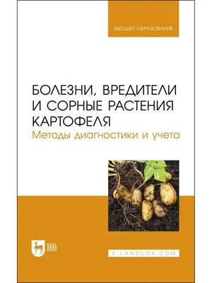 На листьях картофеля замечала небольшие дырочки, никаких вредителей не  обнаружила. Картофель почти не зацвел. В конце августа за пару дней ботва  почернела. Урожай практически весь с черными дырочками