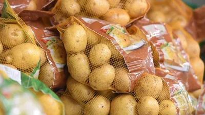 Болезни картофеля и их лечение биопрепаратами - Biopreparaty