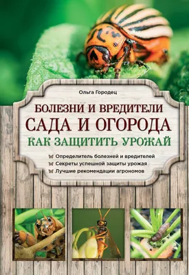 Городец О. \"Болезни и вредители сада и огорода. Как защитить урожай\" —  купить в интернет-магазине по низкой цене на Яндекс Маркете