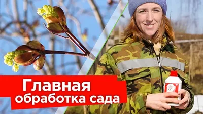 Иллюстрация 7 из 7 для Болезни и вредители сада и огорода. Все секреты  успешной защиты урожая - С. Калюжный | Лабиринт - книги. Источник: Лабиринт