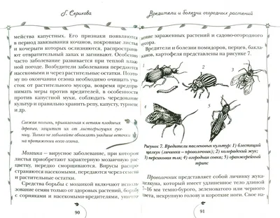 Сад весной: три обязательных весенних обработки против болезней и вредителей