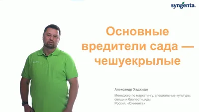 Вредители и болезни сада