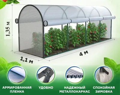 Обработка теплицы весной от болезней и вредителей: способы и рекомендации  обработки от болезней и вредителей