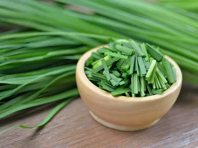 В английском языке scallion и spring onion переводятся одинаково - зеленый  лук. Это одно и то же или все-таки есть разница?» — Яндекс Кью