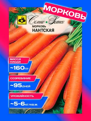 Семена Моркови ПОИСК Шантенэ Королевская (драже) 300 шт — цена в Оренбурге,  купить в интернет-магазине, характеристики и отзывы, фото