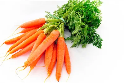 Купить семена моркови Наполи F1 на дачу почтой | оптом и в розницу