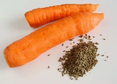 Заказать семена моркови на ленте Зимний Цукат с доставкой курьером, почтой,  Европочтой (бесплатно) в 110 городах!