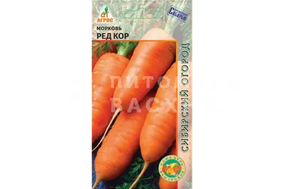 Семена моркови Шамарэ (Chamare) 500 грамм Semo (ID#66270474), цена: 1750 ₴,  купить на Prom.ua