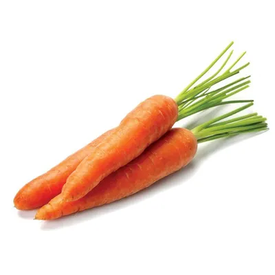Морковь ПОИСК Агрохолдинг семена моркови, семена моркови на ленте, семена  моркови в гранулах, семена моркови нантская. - купить по выгодным ценам в  интернет-магазине OZON (930316608)