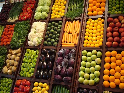 Дизайн магазина овощей и фруктов и правила территории продуктов