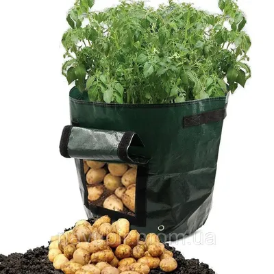 Нетканый мешок для Выращивание картофеля Многоразовые Дышащие горшки для  выращивания овощей войлочный мешок для посадки Цветочная плантатор 5/7/10  галлонов | AliExpress