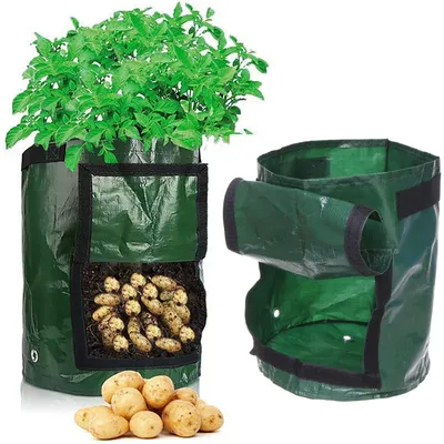 E2 100 шт. подвесные сетчатые мешки для выращивания арбуза, многоразовые  сетчатые сетки, сетка для садовых огурцов, сетчатые мешки для выращивания  овощей | AliExpress