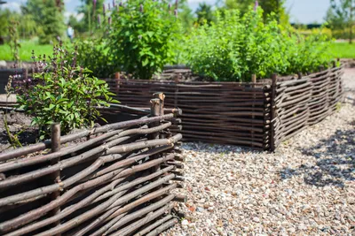 Высокие грядки экономят очень много сил при высокой отдаче | Sloped garden,  Sloped backyard landscaping, Vegetable garden design