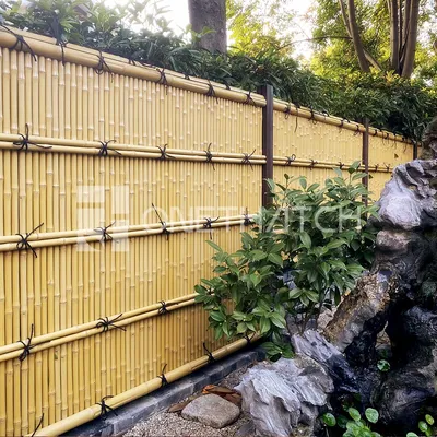 Забор из бамбука фото фото
