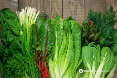 Зеленые листовые овощи Полезные или вредны В чем их настоящая польза  Читайте об этом тут: http://life4health.ru/zelenye-listovye-o… | Листовые  овощи, Овощи, Питание