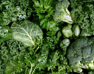 Зеленые листовые овощи являются наиболее полезными для продления молодости  мозга - АЗЕРТАДЖ