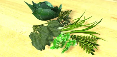 Капуста, листовые овощи и луковичные овощи | RU Lebosol® Dünger