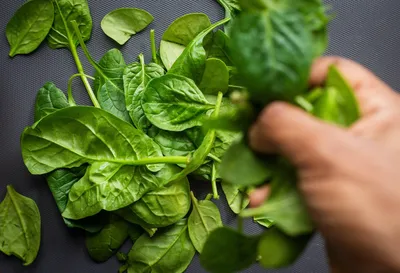 Употребление листовой зелени снижает риск болезни Альцгеймера