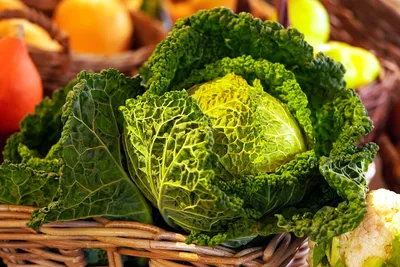Зеленые листовые овощи могут содержать устойчивую к антибиотикам кишечную  палочку - Страсти