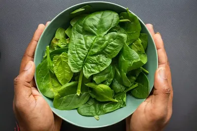 Один из самых полезных продуктов на планете: чем ценны зеленые овощи -  Здоровье 24