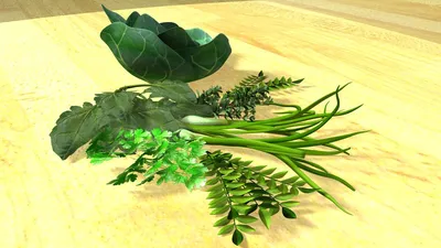 Медики советуют ежедневно потреблять зеленые листовые овощи: в чем их  польза? | Mixnews