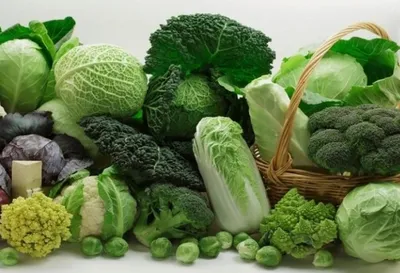 Ученые советуют каждый день есть листовые овощи — вот почему - Здоровье  Mail.ru