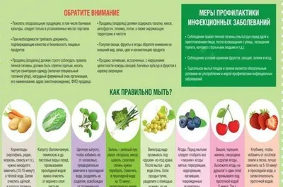 Овощи, Фрукты И Специи Зеленого Цвета На Белом Фоне Фотография, картинки,  изображения и сток-фотография без роялти. Image 23172412