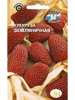 Кукуруза Земляничная СеДек 169564052 купить за 124 ₽ в интернет-магазине  Wildberries