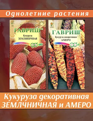 Кукуруза Земляничная 15 Шт. Гавриш овощные Наш сад, пакеты цветные Семена  Продукция