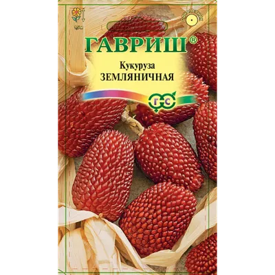 Купить Семена - Кукуруза Земляничная, декоративная // 15 шт. ❱❱ ТД Дарвин  ❰❰❰