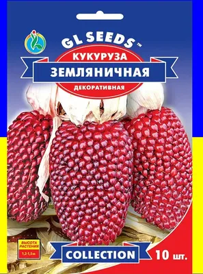 Кукуруза декоративная набор яркие початки, 2 пакета, семена гавриш — купить  в интернет-магазине по низкой цене на Яндекс Маркете