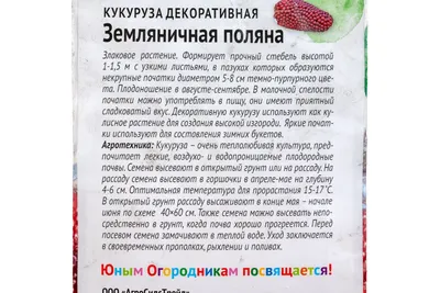 Земляничная семена кукурузы - GL Seeds, купить, цена в интернет-магазине -  Супермаркет Семян