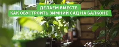 Безрамное остекление зимнего сада в Москве | Glasscon