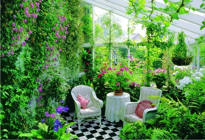 Красивый зимний сад в частном доме: фото-идеи и рекомендации по созданию