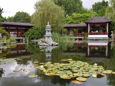 Красивая открытая зона отдыха в саду Стоковое Фото - изображение  насчитывающей совершенно, среда: 202746842