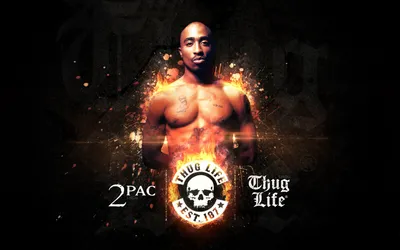 Обои Музыка Tupac Shakur(2Pac), обои для рабочего стола, фотографии музыка,  tupac, shakur Обои для рабочего стола, скачать обои картинки заставки на рабочий  стол.