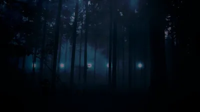 creepy images | Size of this preview: 640 × 360 pixels . Other resolution:  320 × 180 ... | Creepy images, Foggy forest, The light is coming