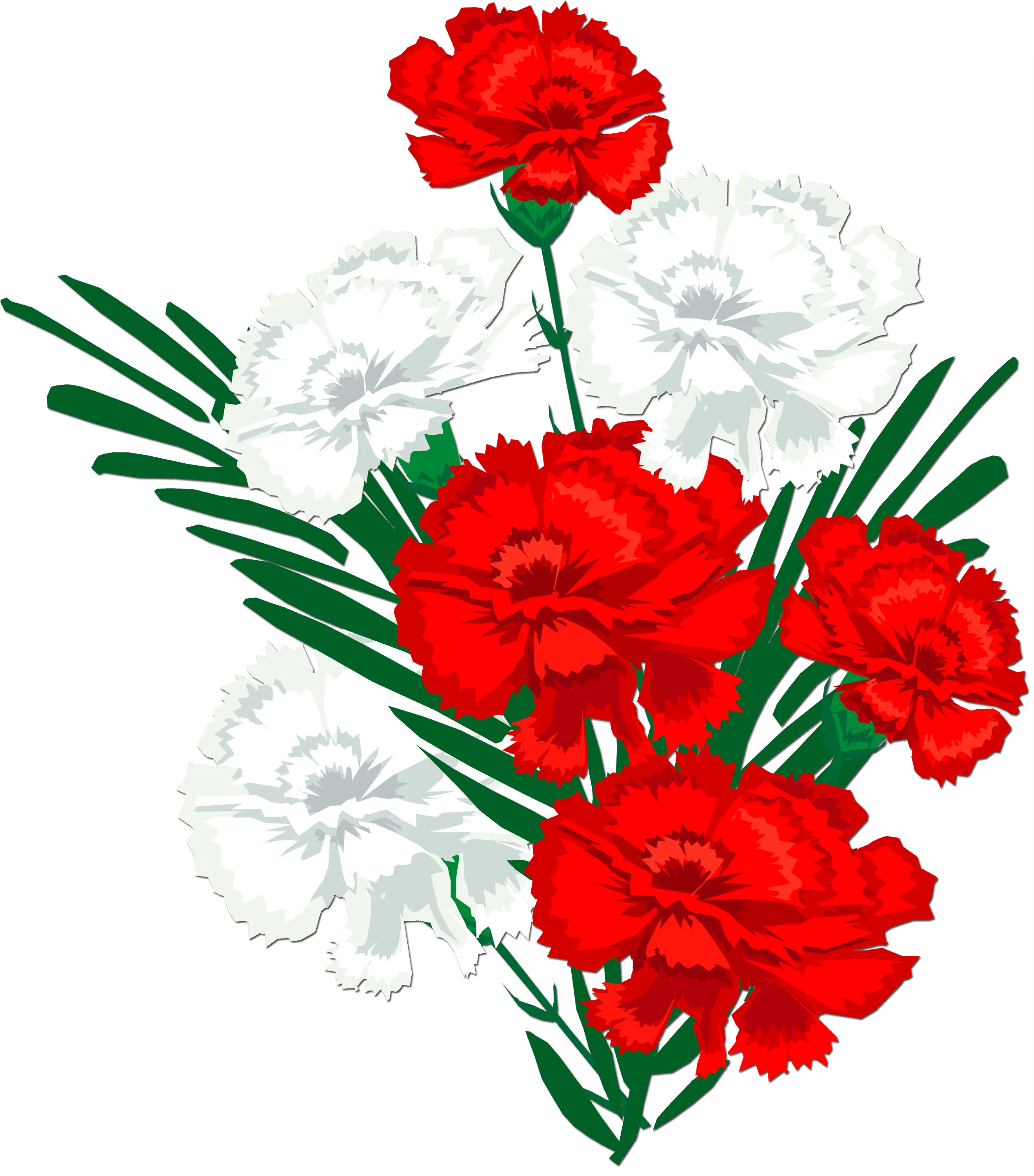Гвоздика Фунза. Гвоздика ПСД. Гвоздика цветок к 9 мая. Букет гвоздик на прозрачном фоне. Цветы мая рисунок