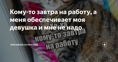 Ты ведь все равно выйдешь завтра на работу, да?» - 7 смешных комиксов про  начальников от разных авторов | Смешные картинки | Дзен