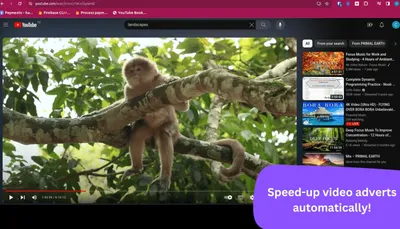 Новый хитрый adblock для Youtube: не блокирует рекламу, а проматывает за  пару секунд - Ad Speedup для Google Chrome