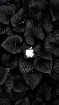 Фон для телефона: apple, iPhone, яблоко, iOS 14, фрукты