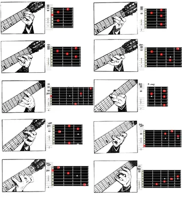 Основные аккорды на гитаре • Базовые аккорды для начинающих • Самые простые  аккорды для гитары