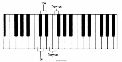 Наклейки Ноты – купить дом и сад на OZON по выгодным ценам