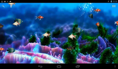 Живые обои для рабочего стола.(Dream Aquarium)Live Wallpapers for your  desktop. - YouTube