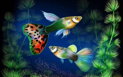 Заставка аквариум | Softfly.ru | Дзен