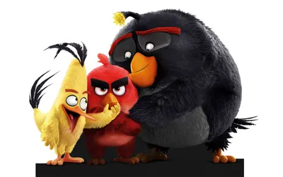 Обои для рабочего стола Птички в шоке. The Angry Birds Movie HD на  oboi.tochka.net