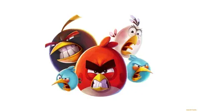 Angry Birds скачать фото обои для рабочего стола (картинка 4 из 5)